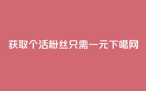 获取1000个活粉丝只需一元 第1张