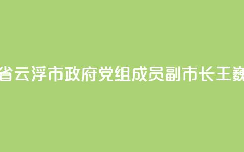 广东省云浮市政府党组成员、副市长王巍被查 第1张