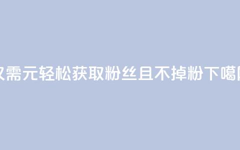 仅需1元轻松获取3000粉丝且不掉粉 第1张