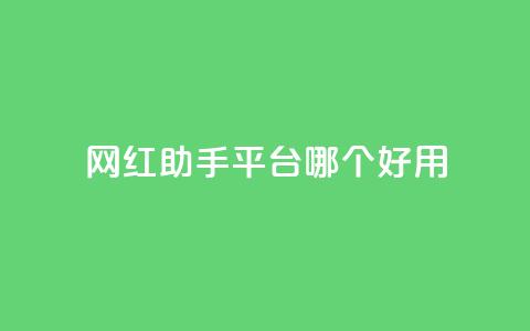 网红助手平台哪个好用,dy点赞充值秒到账 - KS业务下单平台不掉粉 抖音业务下单秒到账 第1张