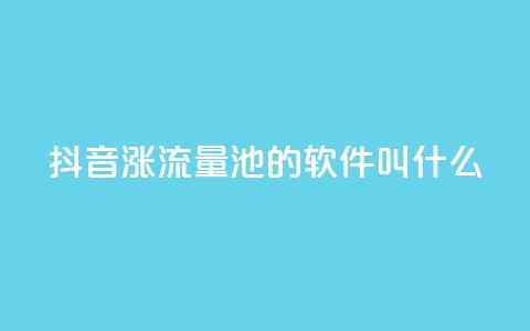 抖音涨流量池的软件叫什么,快手业务平台网站官网 - 抖音怎么放外网链接 快手播放量网址 第1张