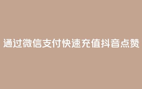 通过微信支付快速充值抖音点赞 第1张