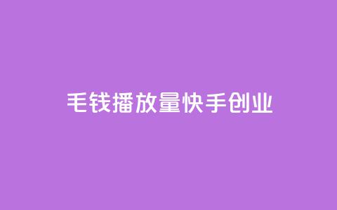 1毛钱10000播放量快手创业 - 1毛钱赚取10000播放量的快手创业秘籍! 第1张