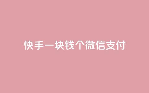 快手一块钱100个微信支付,刷粉黑科技涨粉工具 - 24小时自助下单云商城 云小店24小时自助下单 第1张