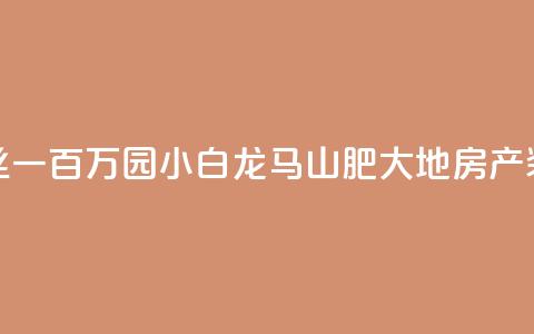 快手粉丝一百万0.01园小白龙马山肥大地房产装修网站,qq低价刷访客一天一万 - 1元刷快手亲密度 KS业务下单平台 第1张