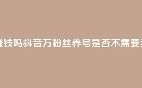 抖音100万粉丝不带货赚钱吗 - 抖音100万粉丝养号是否不需要卖货也能赚钱？! 第1张