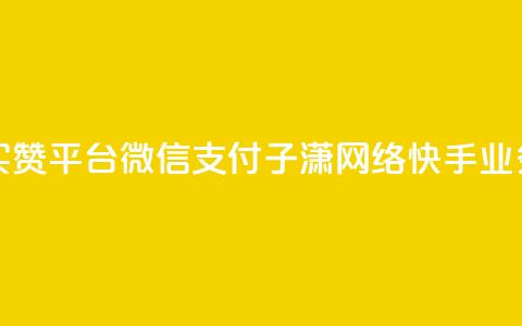 一元一百赞买赞平台微信支付 - 子潇网络快手业务平台 第1张