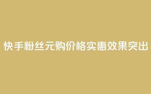 快手1000粉丝1元购：价格实惠，效果突出 第1张