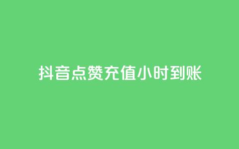 抖音点赞充值24小时到账 - dy24h自助下单商城 第1张