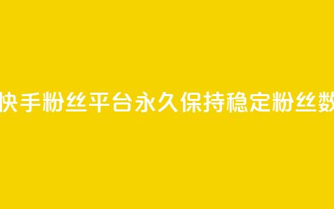 快手粉丝平台永久保持稳定粉丝数 第1张