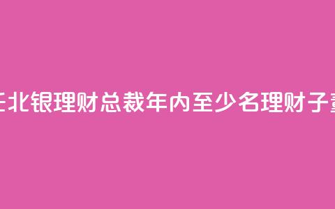 郭振涛获准出任北银理财总裁 年内至少8名理财子董事长、总裁焕新 第1张