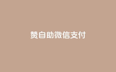 Ks赞自助微信支付 - 使用微信支付的Ks赞自助服务，简单方便！~ 第1张