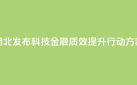 湖北发布科技金融质效提升行动方案 第1张