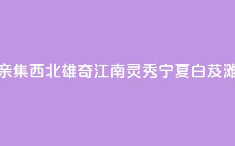 （铸牢共同体 中华一家亲）集西北雄奇、江南灵秀 宁夏白芨滩绘出治沙用沙新画卷 第1张