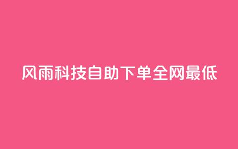 风雨科技自助下单全网最低 - 风雨科技自助下单享受全网最低价格攻略~ 第1张