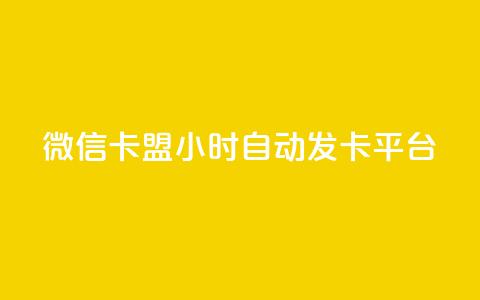 微信卡盟24小时自动发卡平台 - 微信卡盟：稳定发卡平台  24小时自动发卡，快速、便捷的购卡体验。 第1张