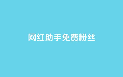 网红助手免费粉丝,ks便宜24小时业务 - 全网自动下单平台 快手点赞充值秒到账怎么弄 第1张