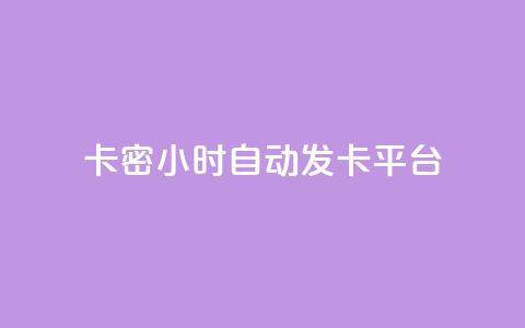 卡密24小时自动发卡平台 - 全天候自动发卡系统一键获取卡密服务。 第1张