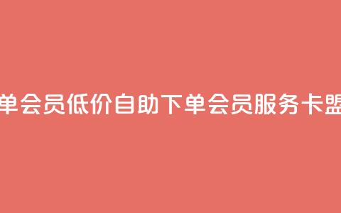 卡盟低价自助下单会员 - 低价自助下单会员服务-卡盟新版上线~ 第1张