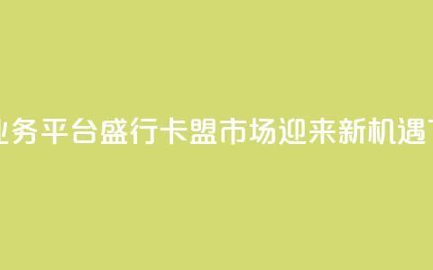 虚拟业务平台盛行，卡盟市场迎来新机遇 第1张