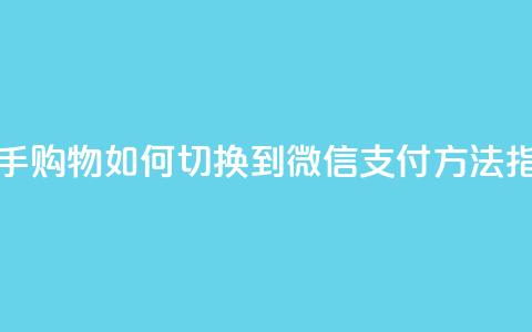 快手购物如何切换到微信支付方法指南 第1张