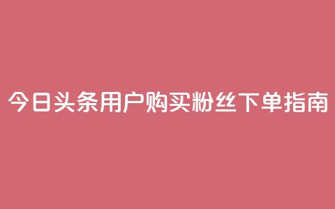 今日头条用户购买粉丝下单指南 第1张