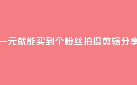 快手买站一块钱1000 - 快手一元就能买到1000个粉丝！拍摄、剪辑、分享，快速增长人气！~ 第1张