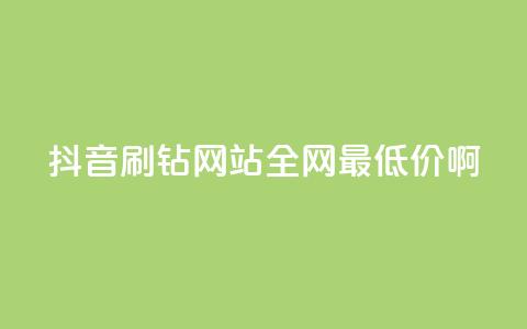 抖音刷钻网站全网最低价啊,qq空间点赞 购买网站 - 拼多多最后0.01碎片 拼多多如何跳转 第1张