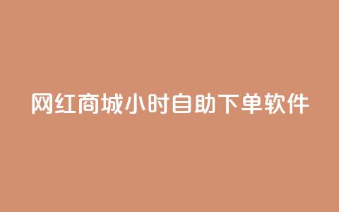 网红商城24小时自助下单软件 - 24小时自助下单软件，让网红商城轻松畅销! 第1张