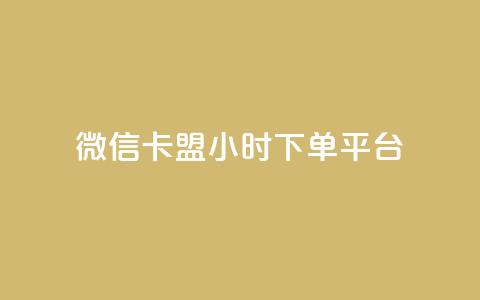 微信卡盟24小时下单平台 - 微信卡盟全天候下单平台介绍。 第1张