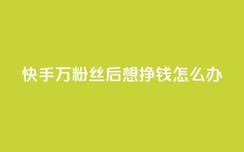 快手1万粉丝后想挣钱怎么办 - 如何在快手1万粉丝后实现收益？。 第1张