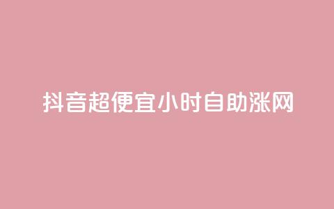 抖音超便宜24小时自助涨网,闲鱼刷我想要 - dy业务自助下单软件下载安装 云商城-在线下单 第1张