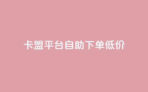 卡盟平台自助下单低价 - 自助下单低价卡盟平台助你轻松购卡！ 第1张