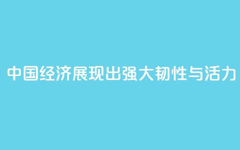 “中国经济展现出强大韧性与活力” 第1张