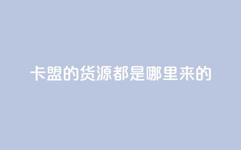 卡盟的货源都是哪里来的 - 卡盟货源获取渠道揭秘！ 第1张