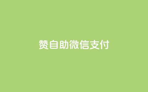 Ks赞自助微信支付,快手低价上热门 - 24小时秒单业务平台免费 快手最低价下单平台 第1张