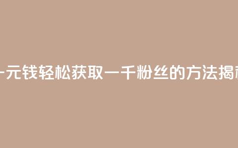 一元钱轻松获取一千粉丝的方法揭秘 第1张