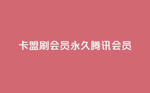 卡盟刷会员永久腾讯会员 - 永久腾讯会员，轻松获取，卡盟VIP优惠！~ 第1张