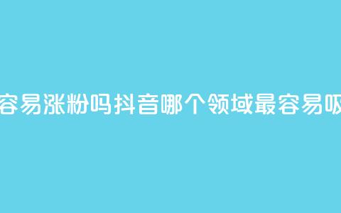 抖音做什么赛道最容易涨粉吗 - 抖音哪个领域最容易吸引粉丝增长。 第1张