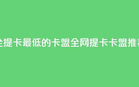 全网辅助最全提卡最低的卡盟 - 全网提卡卡盟推荐指南~ 第1张