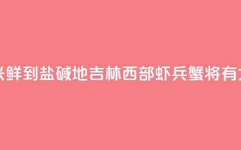 （乡村行·看振兴）“鲜”到盐碱地 吉林西部“虾兵蟹将”有大作为 第1张