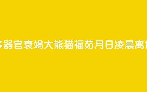 多器官衰竭 大熊猫“福茹”8月16日凌晨离世 第1张