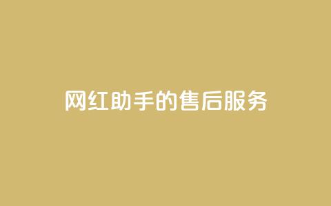 网红助手的售后服务,dy关注点赞任务 - 播放量24小时在线下单 聚梦卡盟 第1张