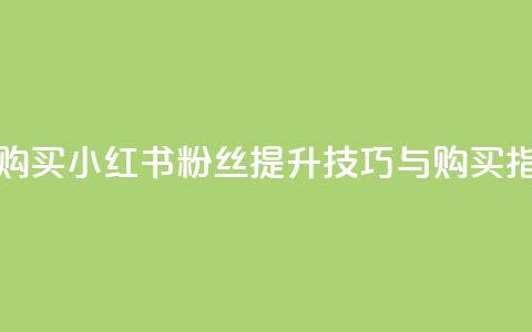 小红书500粉购买 - 小红书500粉丝提升技巧与购买指南! 第1张