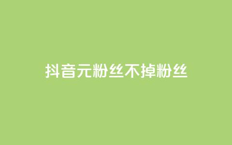 抖音1元3000粉丝不掉粉丝 - 抖音只需1元即可获取3000粉丝且不流失~ 第1张