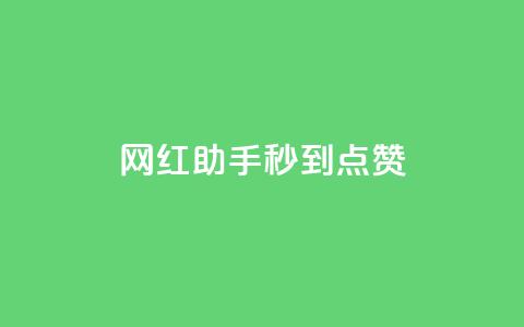 网红助手秒到点赞,卡盟在线自助下单便宜 - 拼多多无限助力工具 拼多多坎钱积分最后结果 第1张