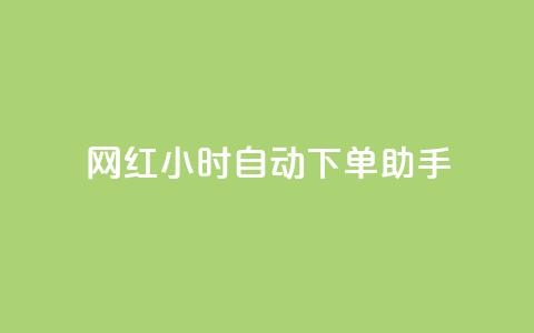 网红24小时自动下单助手 - qq自助平台全网最低 第1张