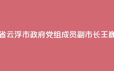 广东省云浮市政府党组成员、副市长王巍被查 第1张