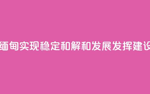 王毅：为缅甸实现稳定、和解和发展发挥建设性作用 第1张