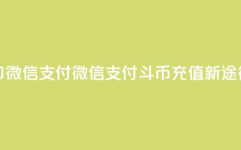 斗币充值入口微信支付 - 微信支付斗币充值新途径解析! 第1张